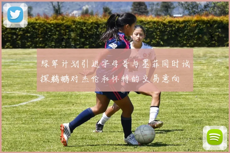 绿军计划引进字母哥与墨菲同时试探鹈鹕对杰伦和怀特的交易意向